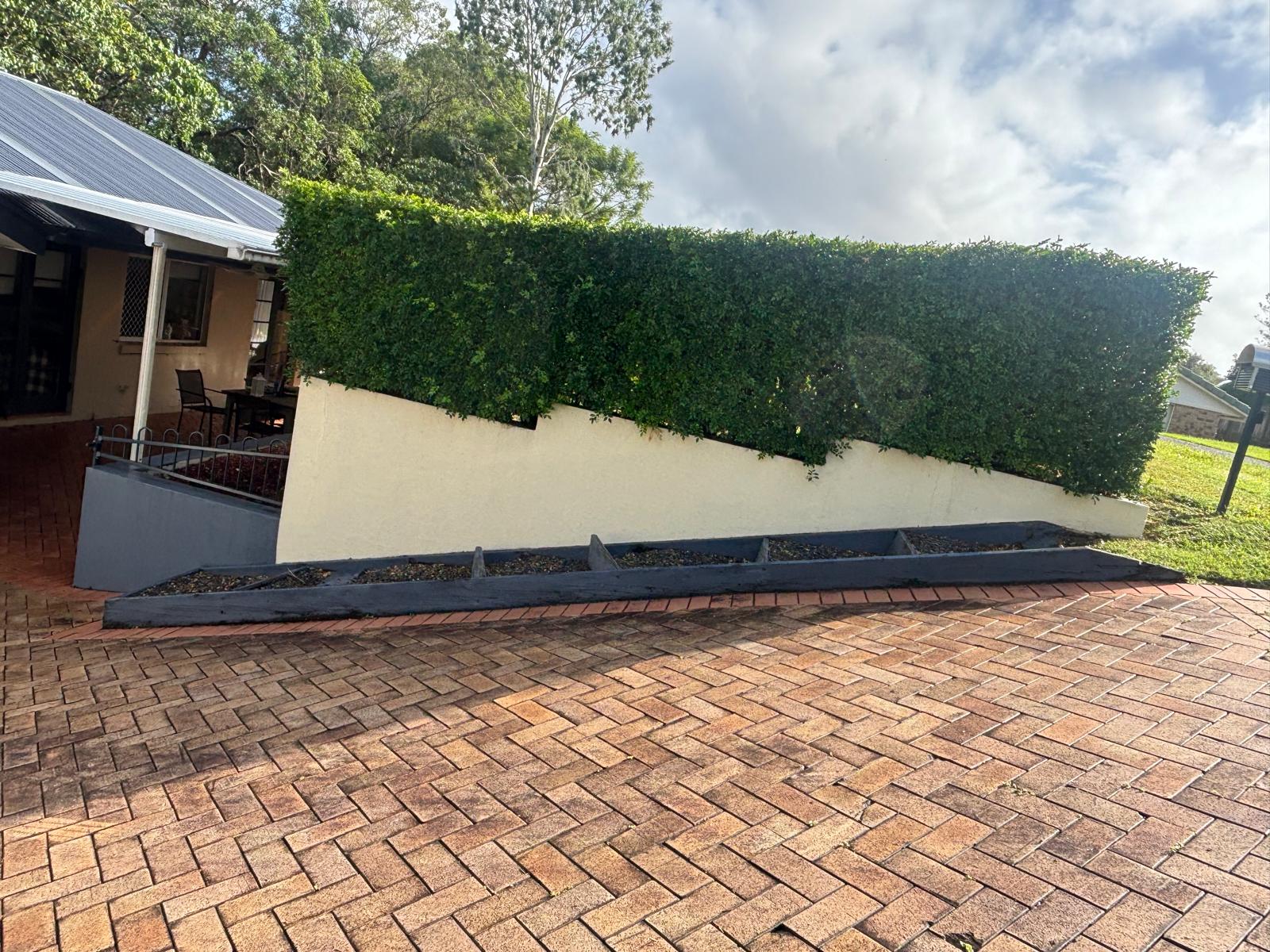 Rendered retaining wall topped with mature hedge